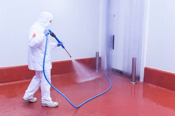 Professional Pressure Washing Services in Califon, NJ